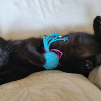 Photo de MIOU