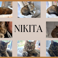 Photo de NIKITA 