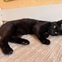 Photo de Moka