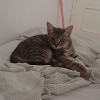 Photo de OLIVE