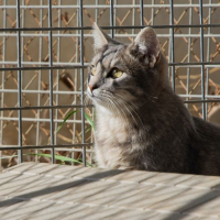 Photo de FENDI