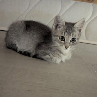 Photo de Daenerys