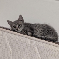 Photo de Arya