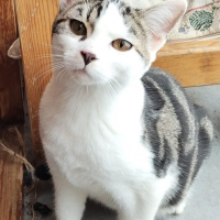 Photo de BERLIOZ 