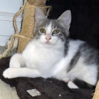 Photo de Babie