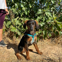 Photo de TARZAN