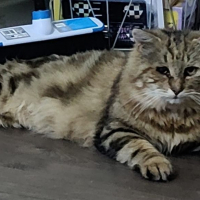 Photo de Poupoune