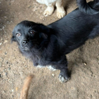 Photo de Leni