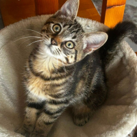 Photo de NAHIA