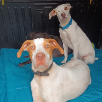 Photo de HUGO et maman JADE