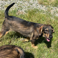 Photo de LENI