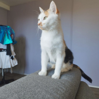 Photo de Nynæve