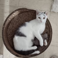 Photo de KAYLA
