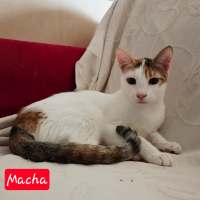 Photo de Macha
