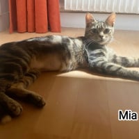 Photo de Mia