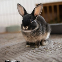 Photo de Benedicte