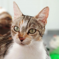 Photo de THELMA
