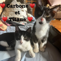 Photo de CARBONE ET TITANE