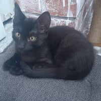 Photo de Perle