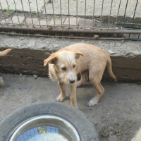 Photo de ROMEO