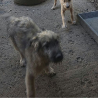 Photo de MIO