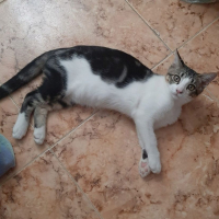 Photo de Oscar