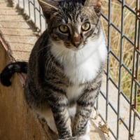 Photo de Yumi