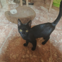 Photo de Nami