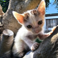 Photo de Nana 