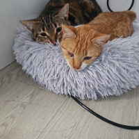 Photo de Elvira et Grace