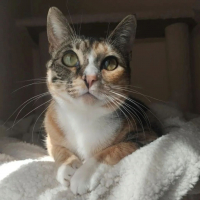 Photo de Siena