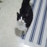 Photo de Felisa