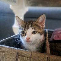Photo de FÉLICIE