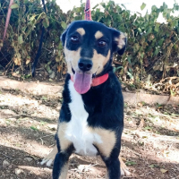 Photo de Estrella