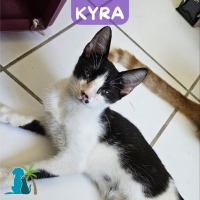 Photo de KYRA