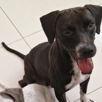 Photo de Bella