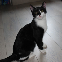 Photo de Fleur