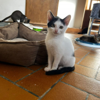 Photo de Izzie
