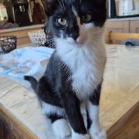Photo de Luna