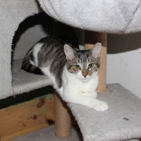 Photo de Minerva