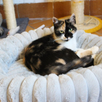 Photo de Moka