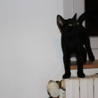Photo de Tic