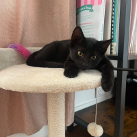Photo de BIBI