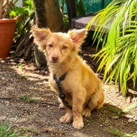 Photo de RITZI