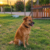 Photo de Bella 