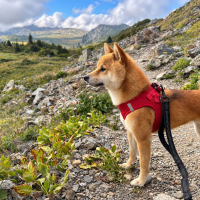 Photo de Raika 