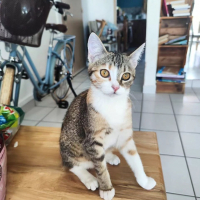 Photo de Lala