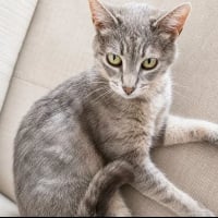 Photo de Ysis 