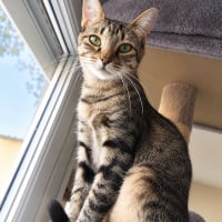 Photo de Mimi jolie 