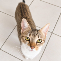 Photo de Bonnie 